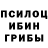 Галлюциногенные грибы мухоморы 111oleg