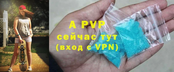 хмурый Вяземский