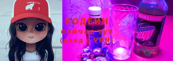 хмурый Вяземский