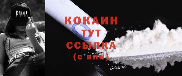 хмурый Вяземский