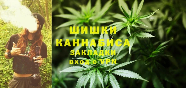 хмурый Вяземский