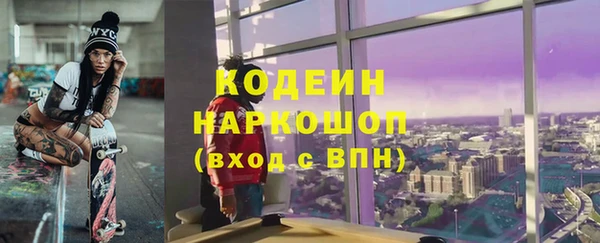 хмурый Вяземский