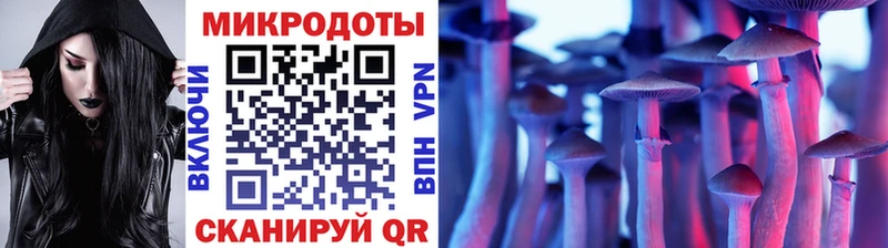 Псилоцибиновые грибы мицелий  Лукоянов 